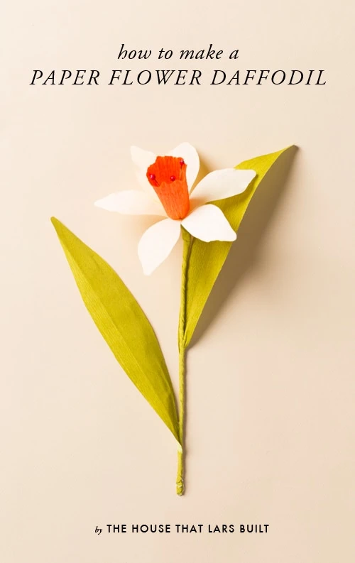 paper daffodil on a cream background