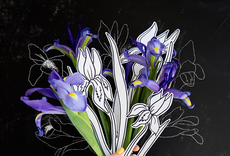 A rainbow grid of flowers and drawings of flowers against a black backdrop.
