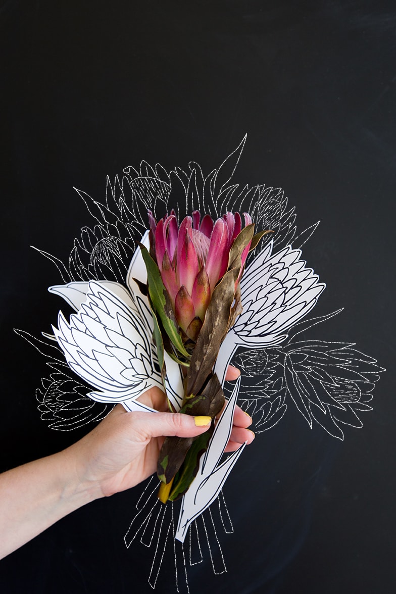 A rainbow grid of flowers and drawings of flowers against a black backdrop.