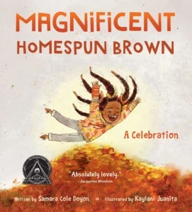 Magnificent Homespun Brown cover