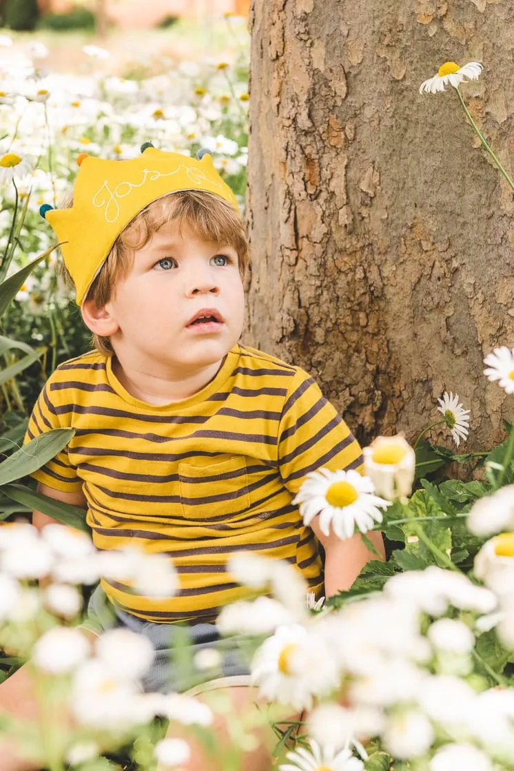 Jasper wears his yellow Flower Lane crown and sits in a field of daisies.