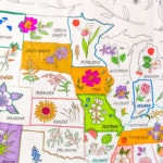 State Flower Map Coloring Page (13 of 17)