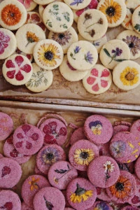 Two pans of botanical cookies with pressed flowers. The ones on the top are a vanilla shortbread and the ones on the bottom are pink.