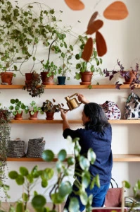 Arounna Khounnoraj watering indoor plants in a light-filled space