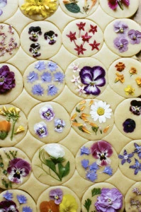 Rolled out cookie dough with colorful pressed flowers pressed onto each round circle of dough.
