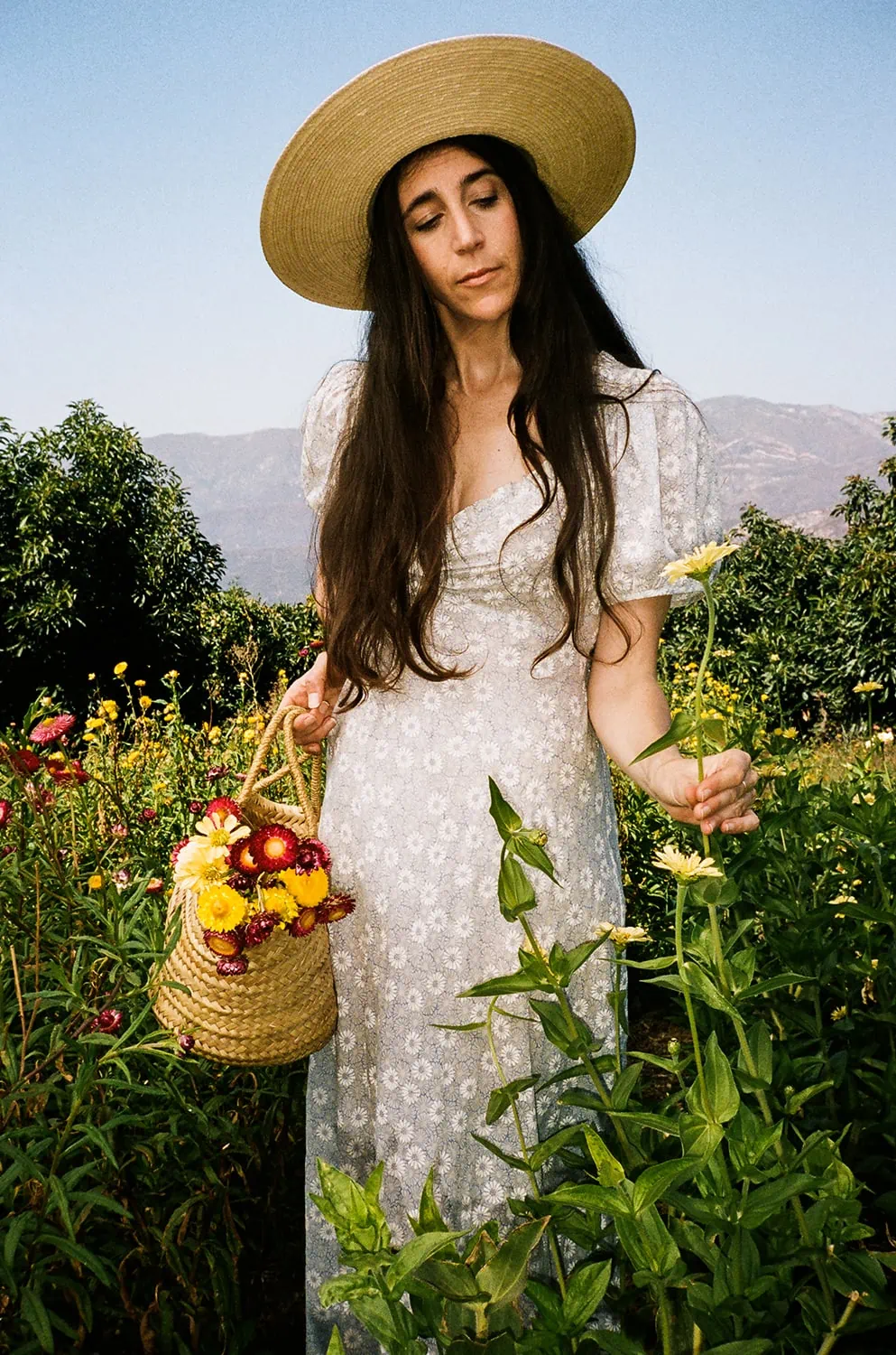 Loria Stern, a tall woman with brown hair wearing a white dress and a straw hat, stands in a field of flowers with a basket of flowers in her hand.