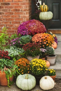 colorful mums on front porch