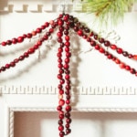 Lars Classic Christmas – Cranberry Garland – Ben S (3 of 4)