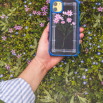 BLOOM Casetify Lifestyle Photos (68 of 85)