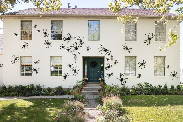 Halloween decoration spiders on a house