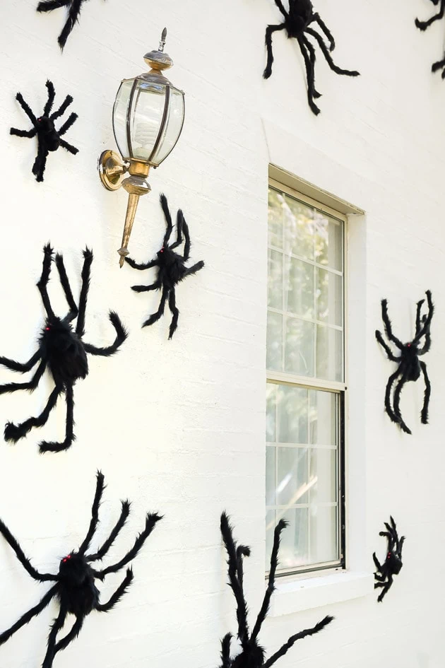 halloween decoration spiders 