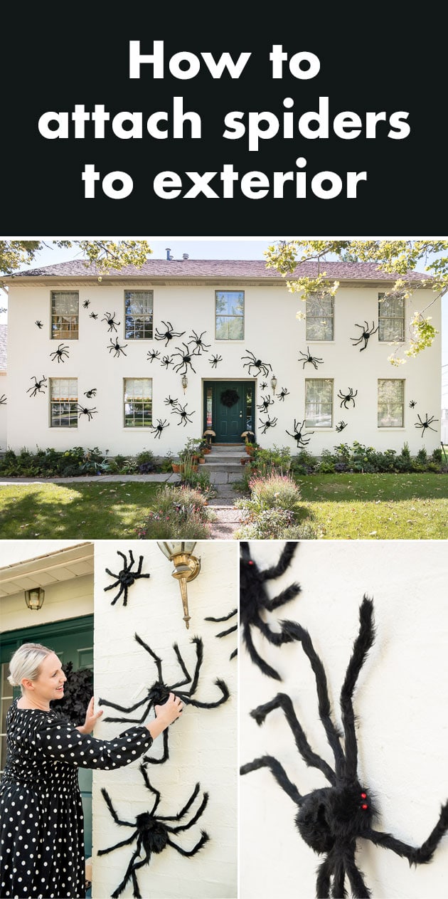 fuzzy spider home decor for halloween