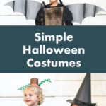 simple-halloween-costumes-pinterest
