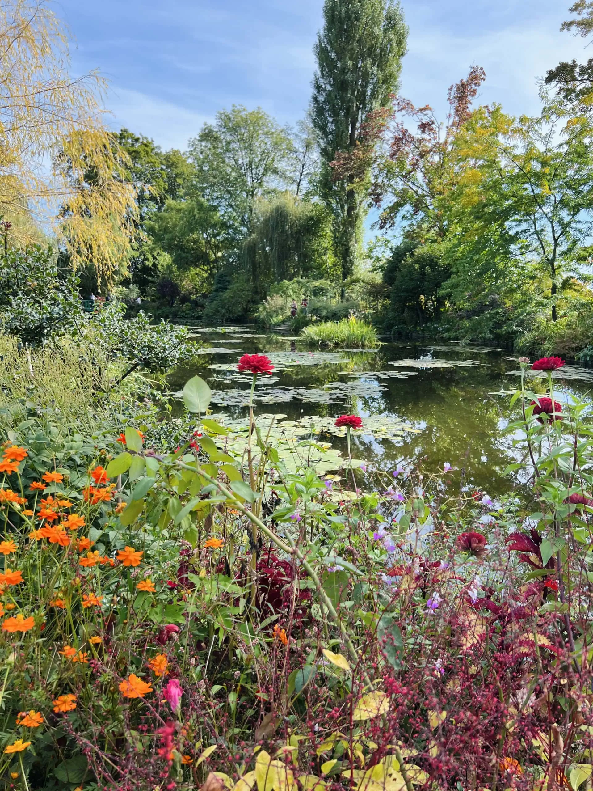 monet’s gardens at giverny lily pads